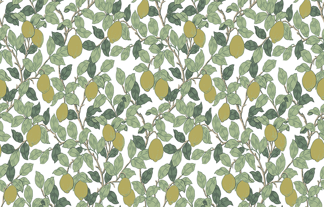 Обои Loymina Equator Citron QTR3 002 10,05×1